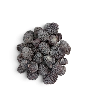 Susz Szyszki Muirri Naturalne Bielone 250g 