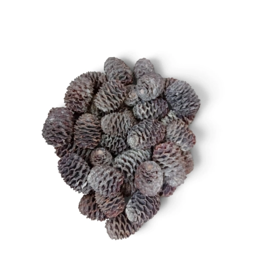 Susz Szyszki Sabulosum Naturalne Bielone 250g 