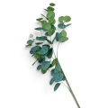Eukaliptus Sztuczny Zielony Gałązka 87cm