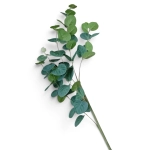 Eukaliptus Sztuczny Zielony Gałązka 87cm