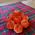 Jesienne Dynie Pomarańczowe Welur kpl. 9szt