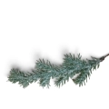 Gałązki Świerku Oszronione na Druciku 21cm kpl. 6szt