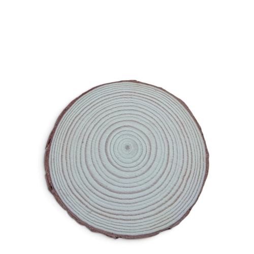 Krążek Drewniany Suszony Naturalny 10cm