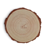 Krążek Drewniany Suszony Naturalny 18cm 