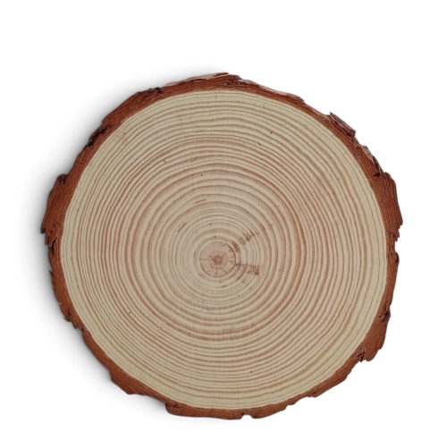 Krążek Drewniany Suszony Naturalny 18cm 