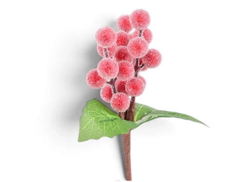  Gałązka Świąteczna Pik Oszroniony Ostrokrzew 16cm