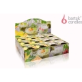 Świeca w Szkle 115g - Green Tea Pudding