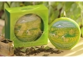 Świeca Dysk 13cm - Green Tea